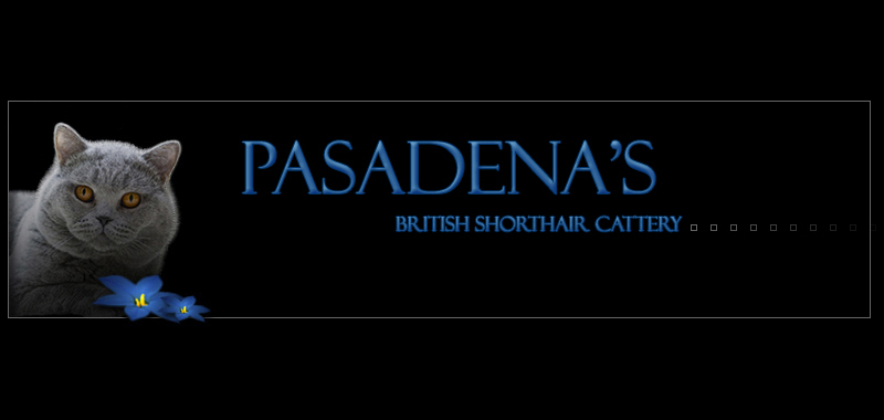 .... hereingeschnurrt !